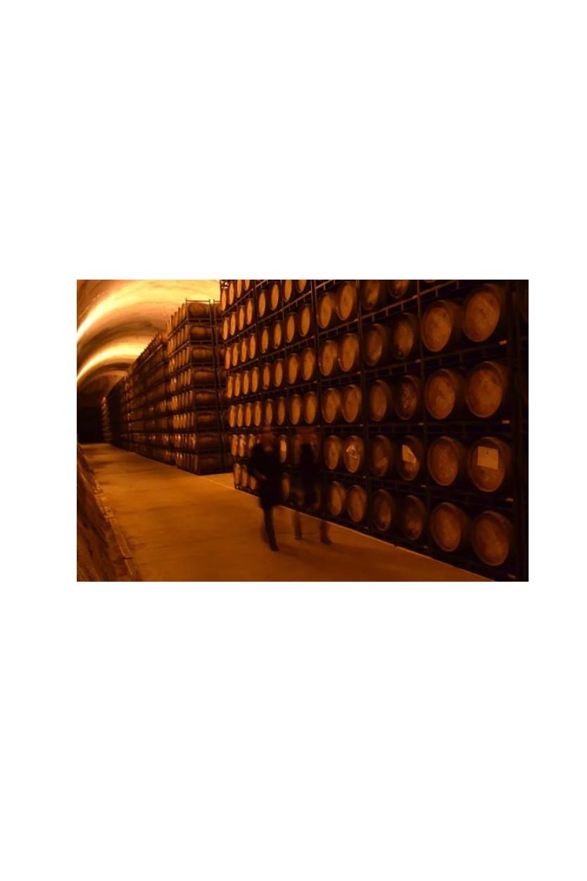 Viña Real Crianza - Imagen 5