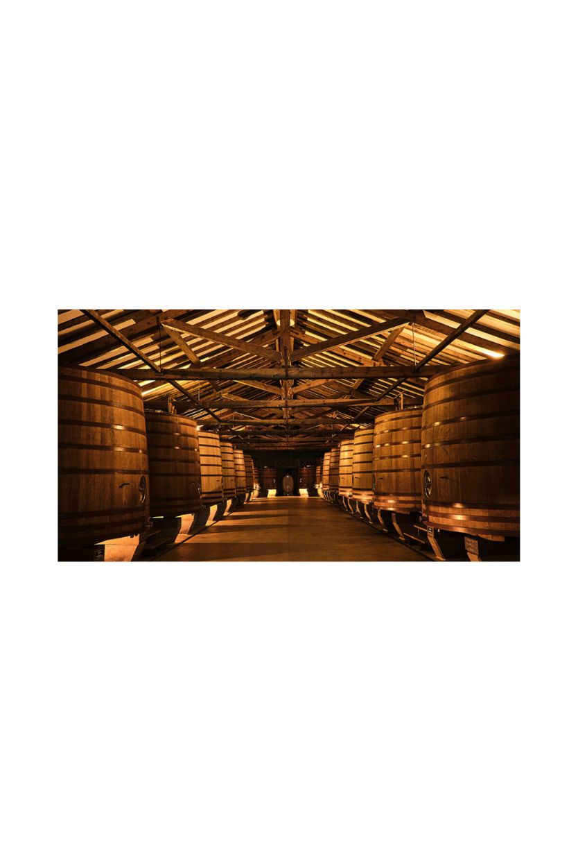 Viña Real Crianza - Imagen 8