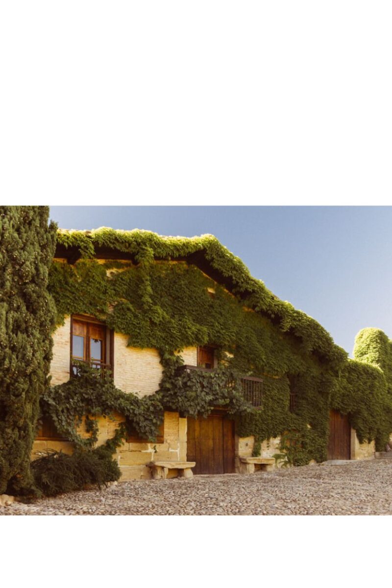 Contino Reserva - Imagen 4