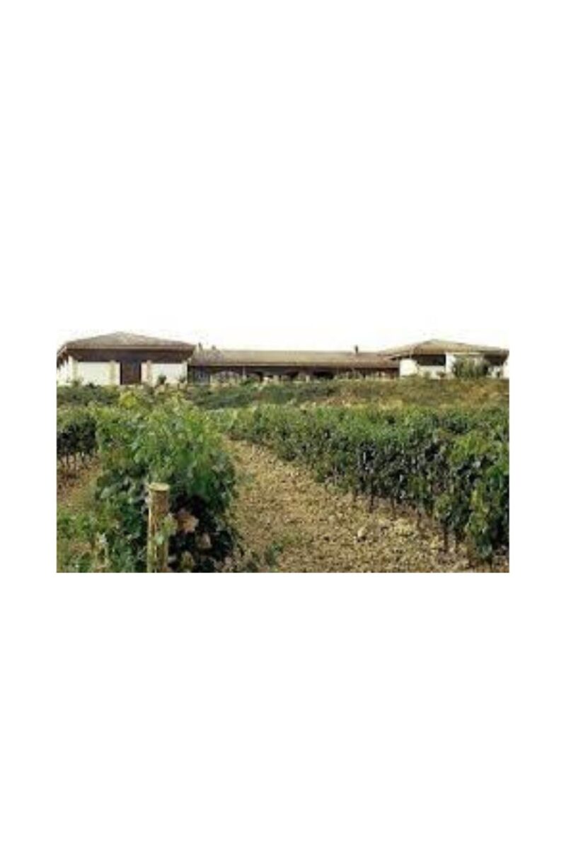 Ondarre 7 parcelas - Imagen 5