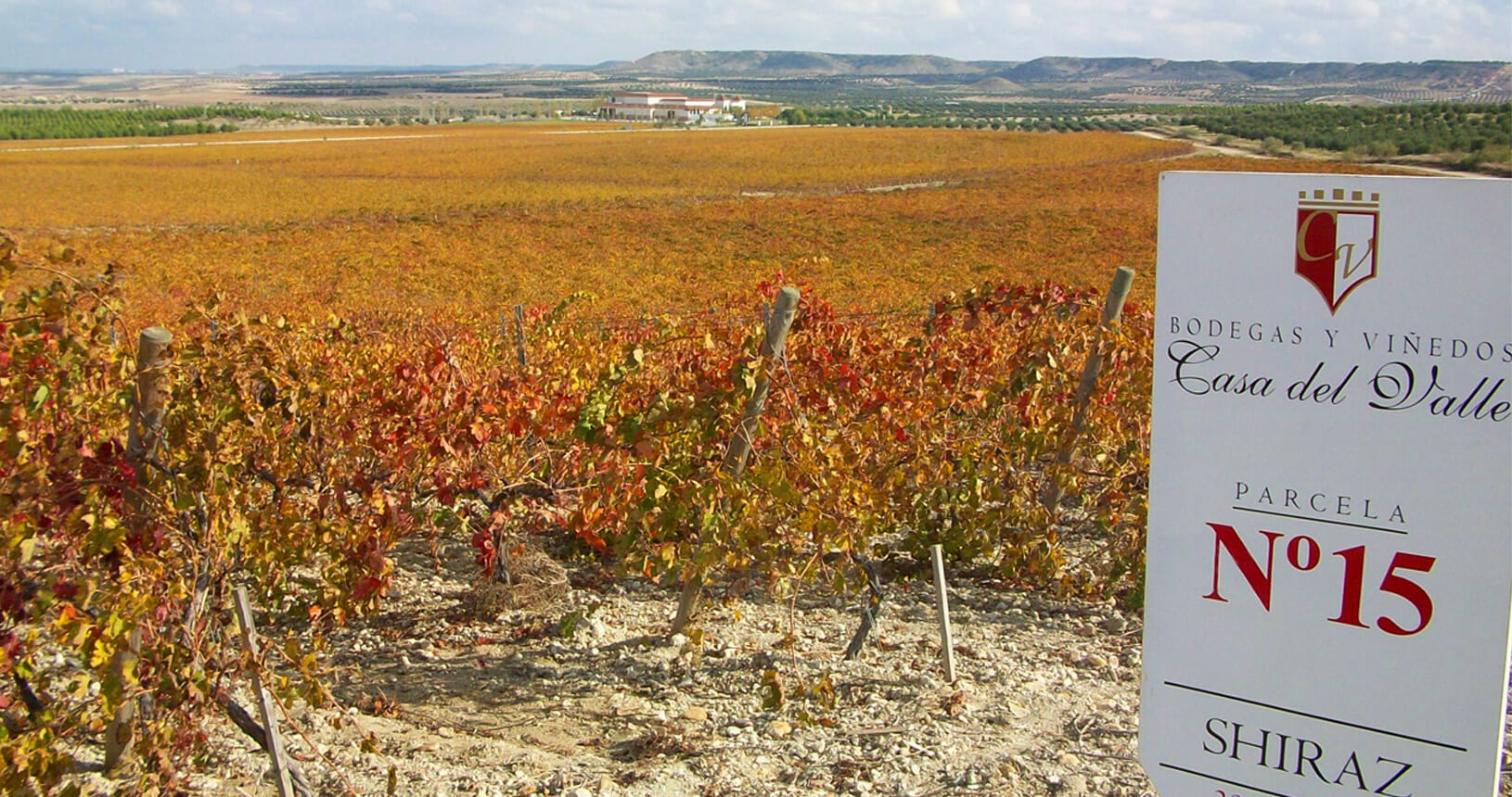 Hacienda Casa del Valle Moscato (Frizzante) - Imagen 3