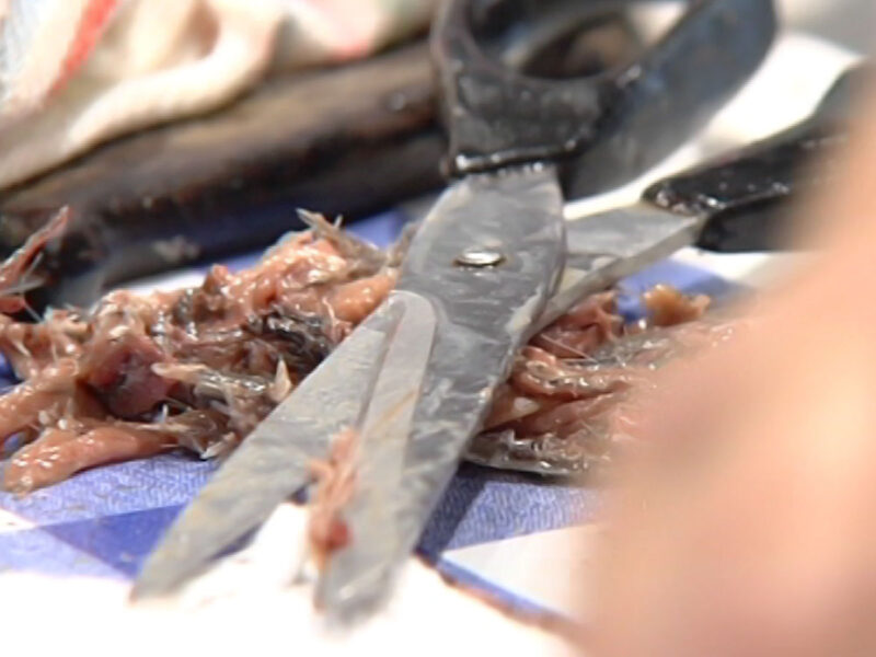 Anchoa Selecta Karmelo Toja Pandereta 50 gramos y 200 gramos - Imagen 5