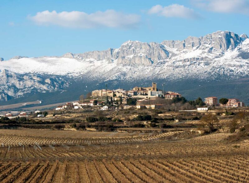 Artadi Viñas de Gain Blanco - Imagen 3