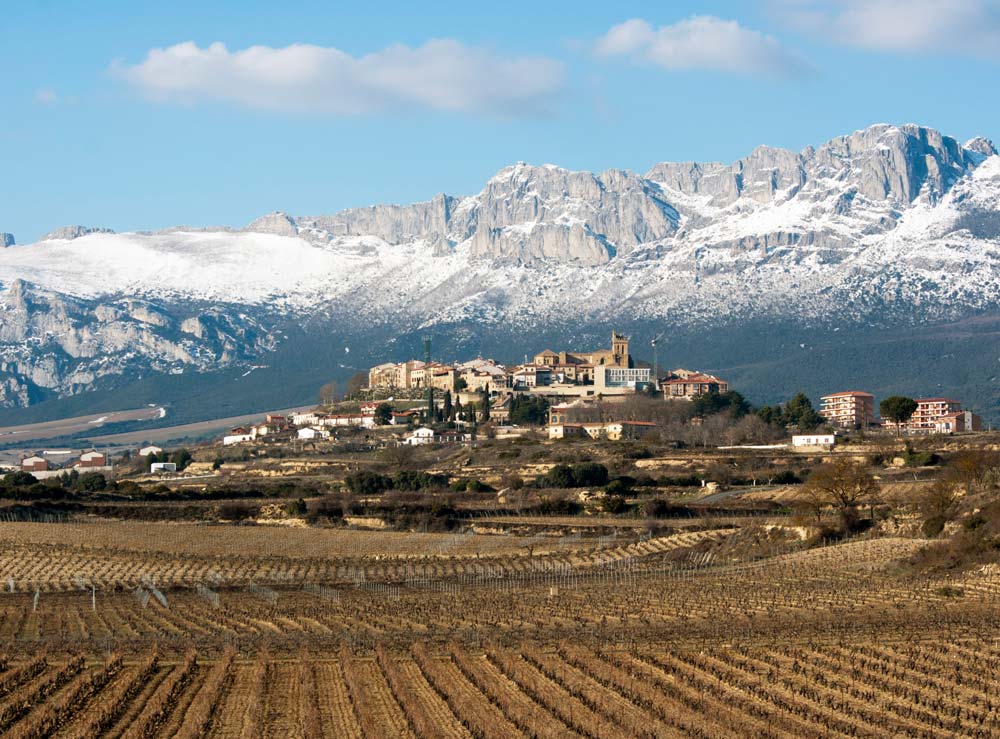 Artadi Viñas de Gain Blanco - Imagen 3