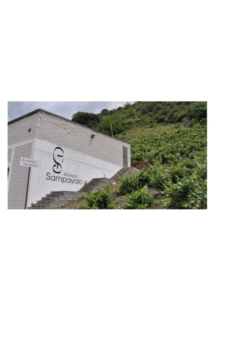 Godello en Lagrima de los Balcanes de Olivedo - Imagen 3