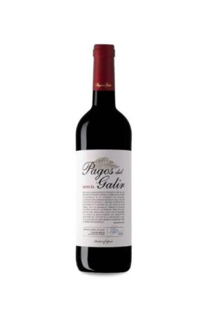 Pagos de Galir (Mencía)