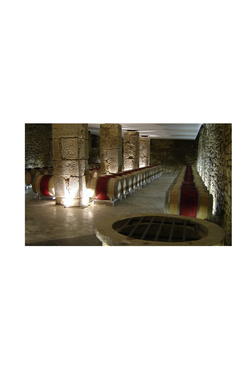 Artadi Viñas de Gain Blanco - Imagen 8