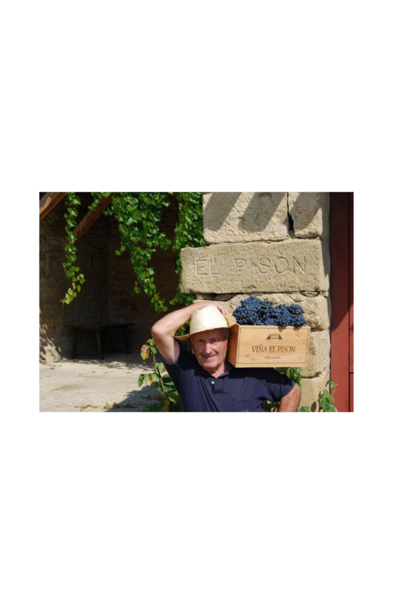 Artadi Viñas de Gain Blanco - Imagen 9