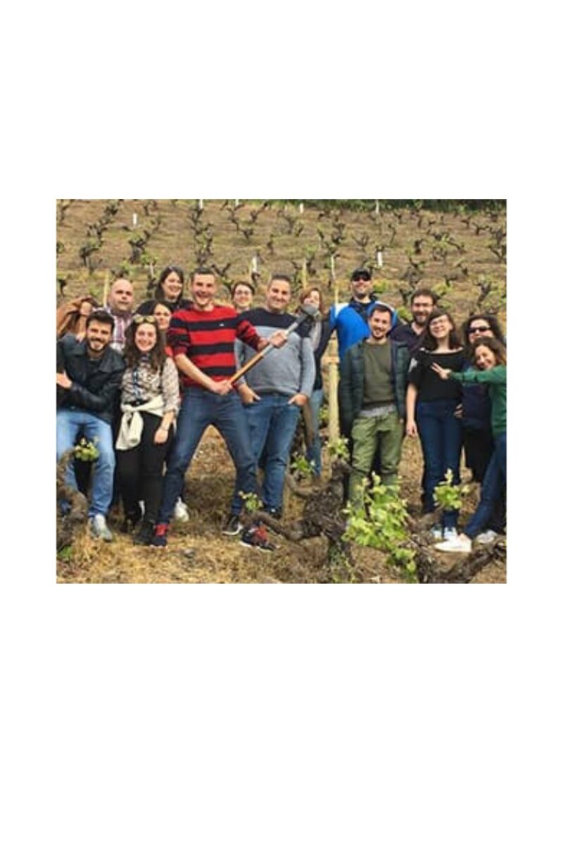 Godello en Lagrima de los Balcanes de Olivedo - Imagen 6