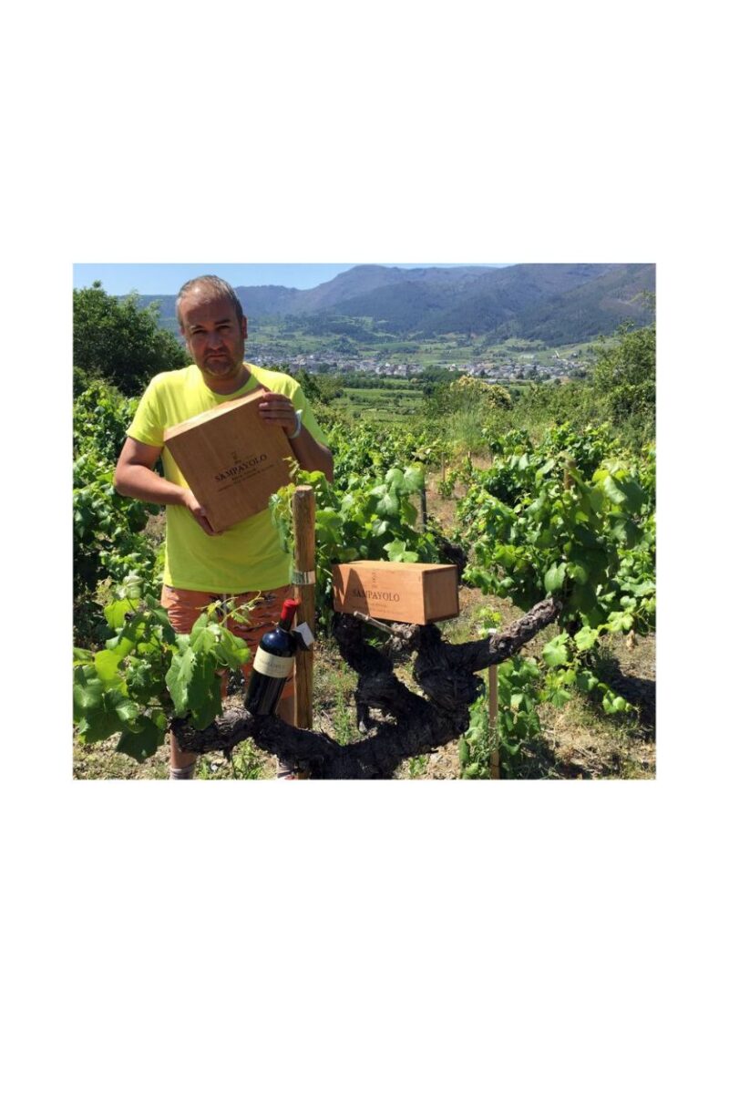 Godello en Lagrima de los Balcanes de Olivedo - Imagen 5