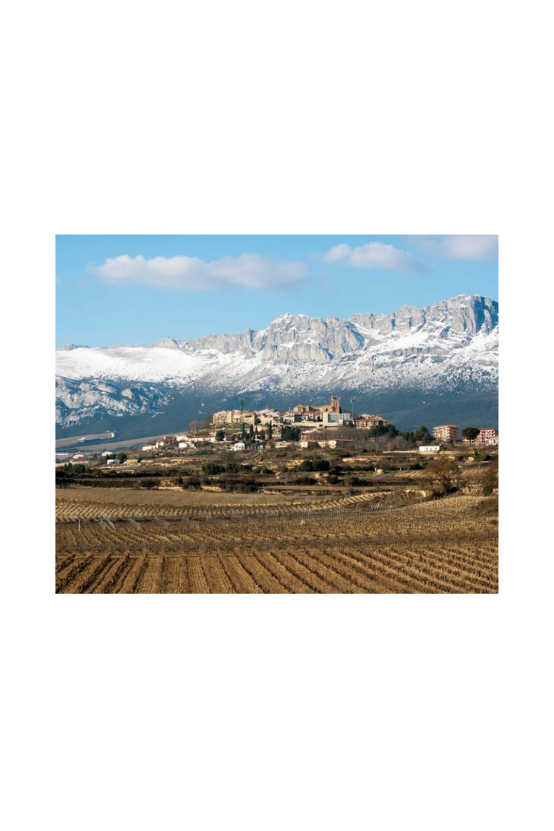 Artadi Viñas de Gain Blanco - Imagen 13