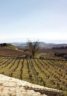 Artadi Viñas de Gain Blanco - Imagen 2